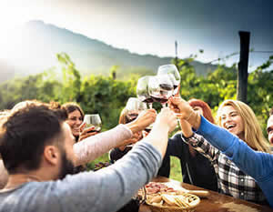 Winery Bus Tour to the Hill Country with Live Music, & BBQ