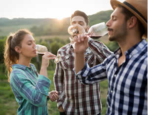 Fredericksburg Winery Tour with Live Music, & BBQ