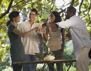 Winery Bus Tour to the Hill Country with Live Music, & BBQ