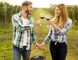Winery Bus Tour to the Hill Country with Live Music, & BBQ