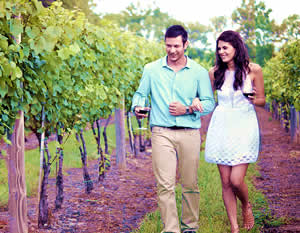 Fredericksburg Winery Tour with Live Music, & BBQ